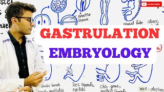 Embryology  Gastrulation [upl. by Hugon]