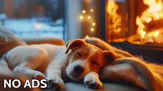 12 Hours Dog Separation Anxiety Relief Music🐶Piano Music for Dogs At Home Alone  Dog Calming Music [upl. by Iuq]