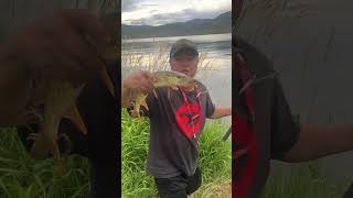 Fishing At Stagecoach Reservoir In Oak Creek Colorado Beautiful Pike fishing shorts world [upl. by Darline]