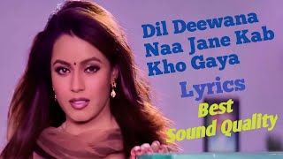 Dil Deewana Naa Jane Kab Kho Haya full Lyrics song  Daag The Fire  Kumar Sanu Anuradha Paudwal [upl. by Pegeen]