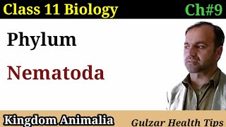 Phylum Nematoda  kingdom Animalia  class 11th Biology [upl. by Fennelly]