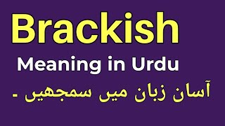 Brackish meaning in Urdu with examples [upl. by Sauer248]