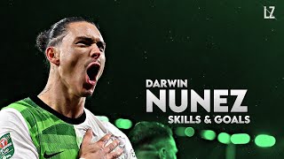 Darwin Nunez 2024  Skills amp Goals  HD [upl. by Skutchan664]