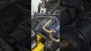 Motor Yammar Reversor Tork Marine reels mecanica mecanico viralreels viralshorts viralvideo [upl. by Huebner]