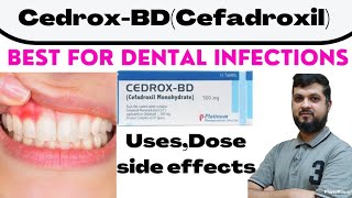 CedroxBD tabletsCefadroxil for Dental InfectionsURTIs Uses lDose l Side effects [upl. by Lisabeth948]