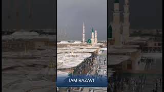 Naat Sharif Status New WhatsApp Status Naat Status Sayyed Abdul Wasi New Naat Aala Hazrat Naat 2024 [upl. by Suoirrad]