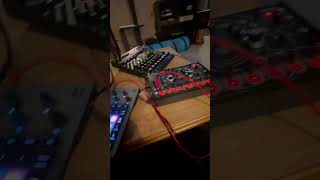 Quadrantid Swarm and Novation Circuit Rhythm [upl. by Asyla]