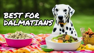 5 best foods for your Dalmatian Dog Dalmatiandog [upl. by Gregory]