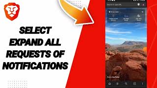 How To Select Expand All Requests Of Notifications On Brave Private Web BrowserVPN App [upl. by Baynebridge]