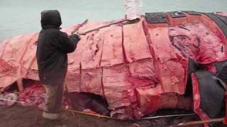 Nunavut Whale Huntwmv [upl. by Acnaib]