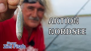 HIER ANGELT KAUM JEMAND MYTHOS NORDSEE  Unser Ziel ist Fisch mit Jörg Ovens [upl. by Hui881]