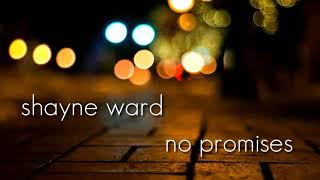 Shayne Wardno promises Lyrics video [upl. by Elleinnod57]