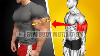 Worlds Best Biceps and Triceps Workout For Bigger Arms [upl. by Salomie]