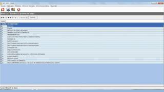 Data Stage SAT Pedimentos Abrir archivos Capitulo 1 [upl. by Araeic278]