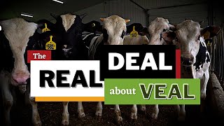 The Real Deal About Veal [upl. by Bjork]