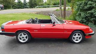 1987 Alfa Romeo Spider Graduate Walkaround [upl. by Trebloc]