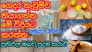 ගෙදර නැවුම්ව තියාගන්න මේ විදියට කරන්නGedara naumwa thiyagannaprathipala obawa puduma karawi😱 [upl. by Derwin]