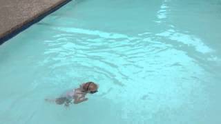 Toddler swims across the swimming pool in slow motion [upl. by Gnous412]