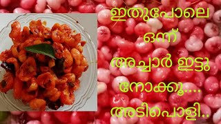 തനിനാടൻ ജാമ്പക്ക അച്ചാർ  kerala style rose apple pickle  BestChefRecipesbyAmbika [upl. by Enogitna123]