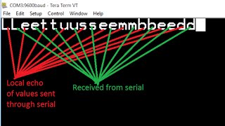 Local echo in tera term  How to enable local echo  How to disable local echo [upl. by Hpejsoj477]