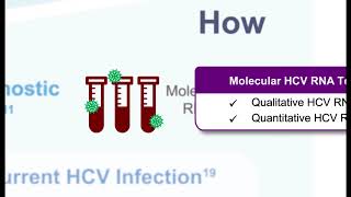 Hepatitis C Virus From Screening to Cure [upl. by Spear]