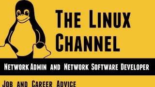 163 Job and Career Advice  Network Admin and Network Software Developer [upl. by Nodrog]