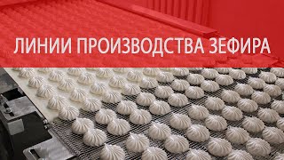 Производство зефира видео автоматическая линия [upl. by Aitra]