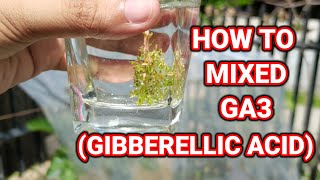 How to mix GA3  Gibberellic Acid Application [upl. by Fifi]