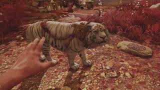 Far cry 4 PS5 PLAYTHROUGH PART 5 [upl. by Sarat687]