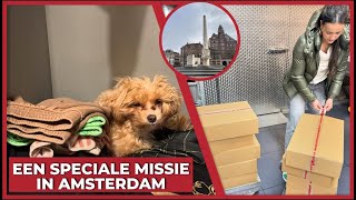 EEN SPECIALE MISSIE IN AMSTERDAM  2043 [upl. by Arag189]