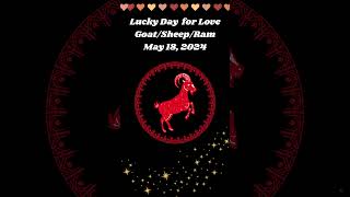 Ram l Sheep l Goat Predictions May 18 2024 Lucky Day for Love chineseastrology [upl. by Ikkim]