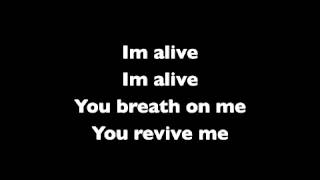 Christy Nockels  You Revive Me Lyrics [upl. by Litnahc457]