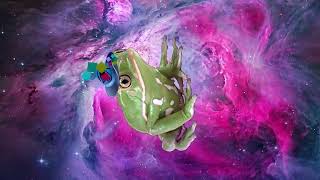 🐸 Mystical Egyptian Frog Drondallion  Trippy Animated Music Cartoon 🎶 [upl. by Adin]