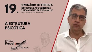 19 A ESTRUTURA PSICÓTICA [upl. by Reniti]