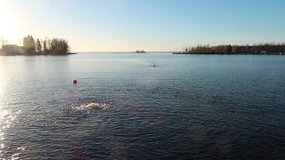 1km uintia 2c vedessä 🏊‍♀️🥶🌞 joensuu jääkarhut [upl. by Sandon]