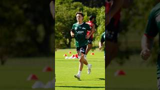 Rabbitohs Pre Season Spotlight  Ashton Ward [upl. by Boles]