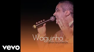 Waguinho  Viverei Viverás Ao Vivo Pseudo Video [upl. by Lehcim]