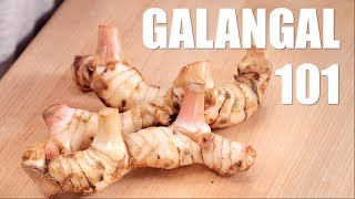 Ultimate Guide to GALANGAL  Hot Thai Kitchen [upl. by Anselma]