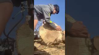 Splitting a BIG oak log for firewood [upl. by Ashlee]