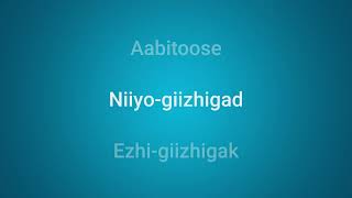 Rosetta Stone Ojibwe Songs Ezhi giizhigak Days of the Week [upl. by Greeson866]