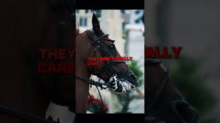 🛑 STOP HORSE ABUSE 🛑 stophorseabuse [upl. by Henarat]