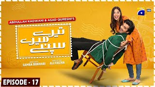 Tere Mere Sapnay Episode 17  Eng Sub  Shahzad Sheikh  Sabeena Farooq  26th March 2024 [upl. by Ydnal948]