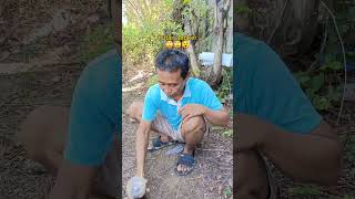 Sesajen penunggu hutan angker videolucu komedilucu comedy ngakak [upl. by Brant]