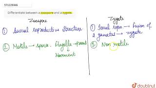 Differentiate between a zoospore and a zygote  CLASS 12  REPRODUCTION IN ORGANISMS  BIOLOGY [upl. by Anifesoj]