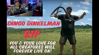 Dingo Dinkelman Passes Away After a Green Mamba Bite RIP You Will Be Missed amp You are a Legend [upl. by Eyr658]