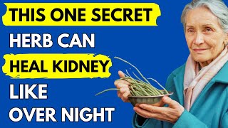 The Secret Herb That Reverses Kidney Damage Overnight [upl. by Nozicka]