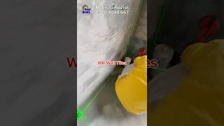 How to Install Bathroom Wall Tile P391 shorts viral ConstructionDhaLahoreytshorts [upl. by Allie]