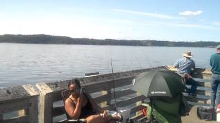 Pier Fishing At Dash Point Tacoma [upl. by Niatsirt]