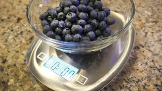 Weight Loss Diary  Counting Calories amp Tare Digital Kitchen Scale Product Review [upl. by Norred]