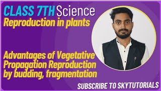 Reproduction in Plants Advantages of Vegetative Propagation Reproduction by budding fragmentation [upl. by Faber867]